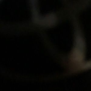 Meet your Posher, Diego